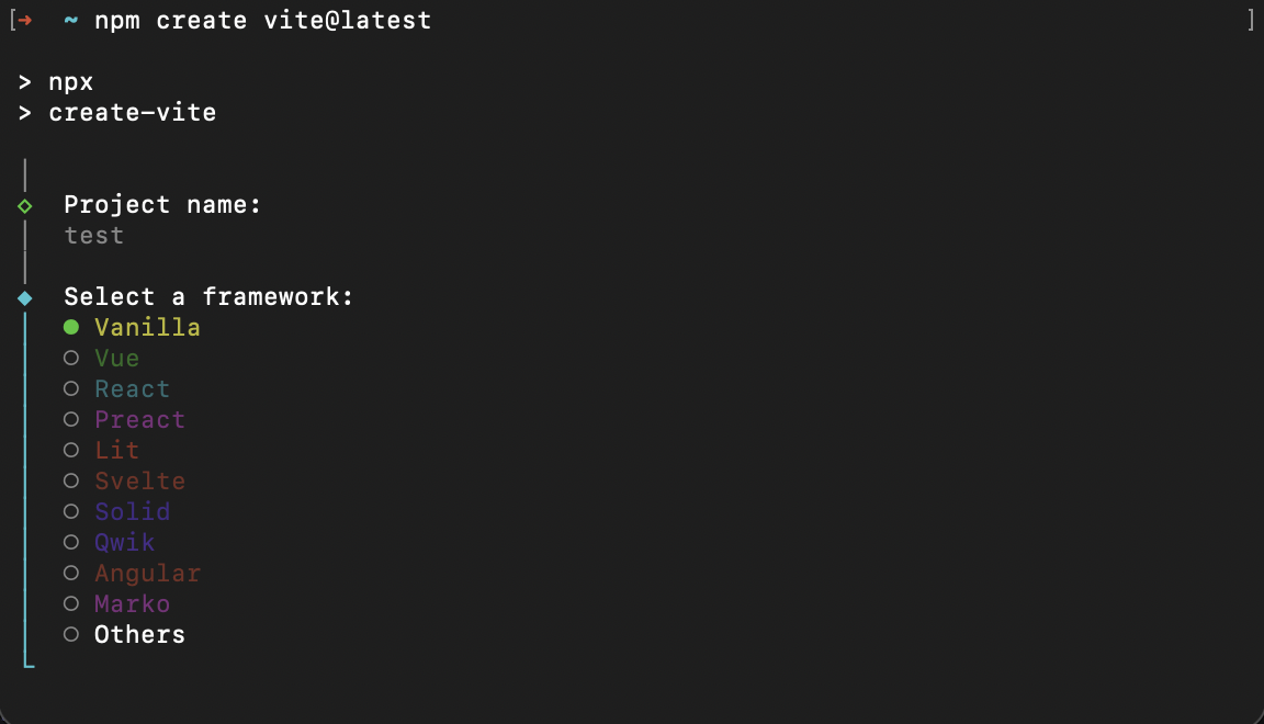 Vite start-up in the command line interface.