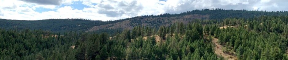 Management Considerations for Oregon's Dry-side Forests