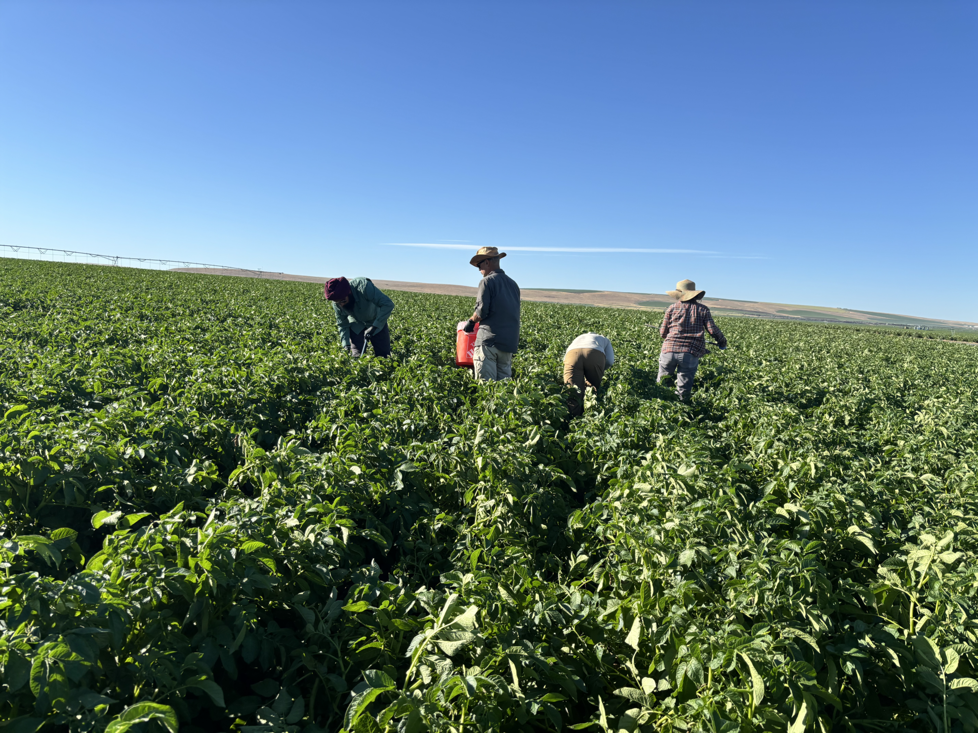 Research – Soil Microbiology and Microbial Ecology